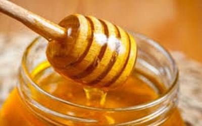Δημοσιεύτηκε και η νέα μας έρευνα για τη βοτανική προέλευση και αυθεντικότητα των μελιών